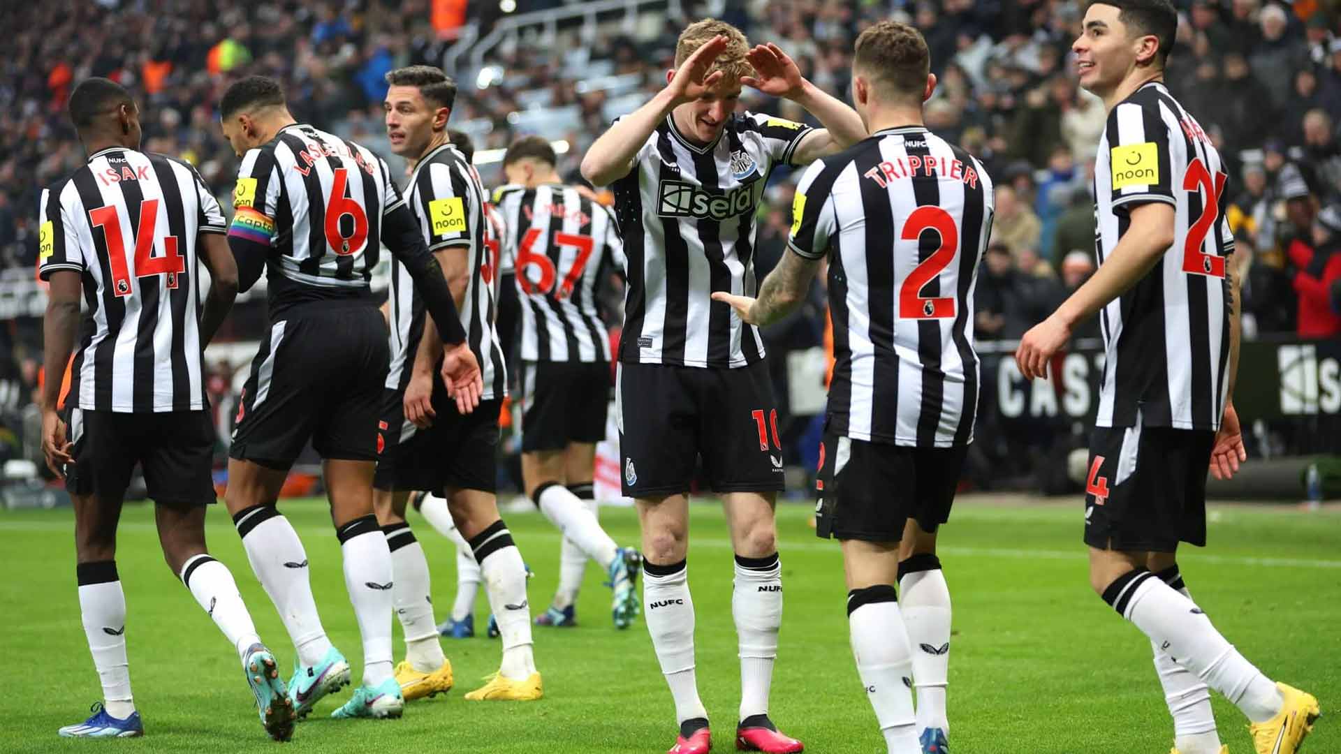 Newcastle Sukses Pertahankan Kandang, Palace Tumbang dengan Skor 2-0